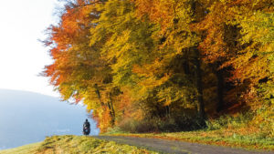 Sicher Motorrad fahren im Herbst